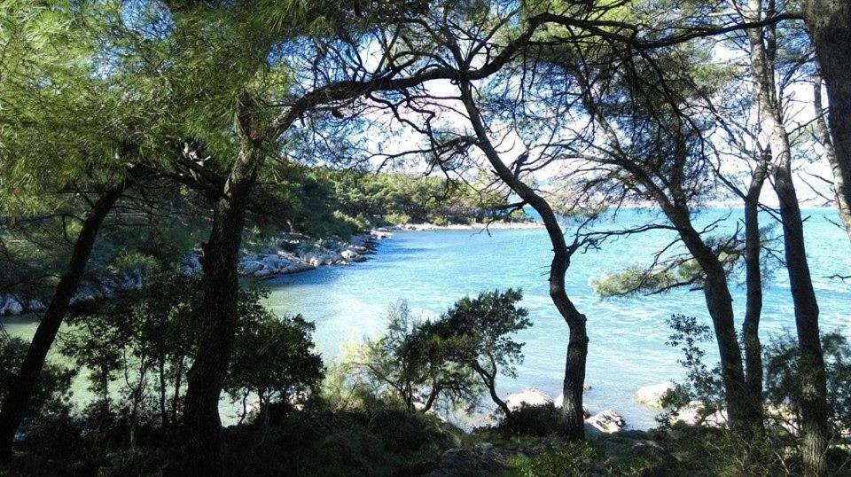 Apartman U Srcu Grada - Ilicev Prolaz Split Buitenkant foto